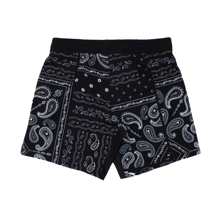 Aesthetic Paisley (Black) Shorts