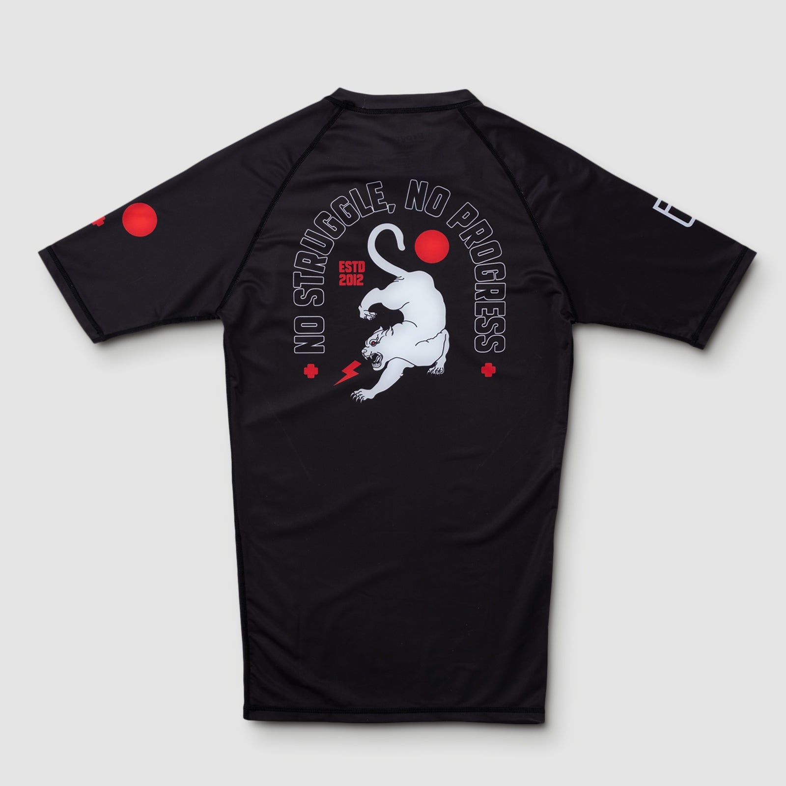Progress Jiu Jitsu 