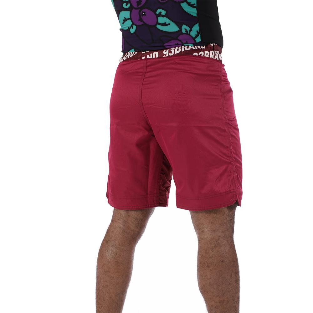 93brand Standard Issue LTD Shorts